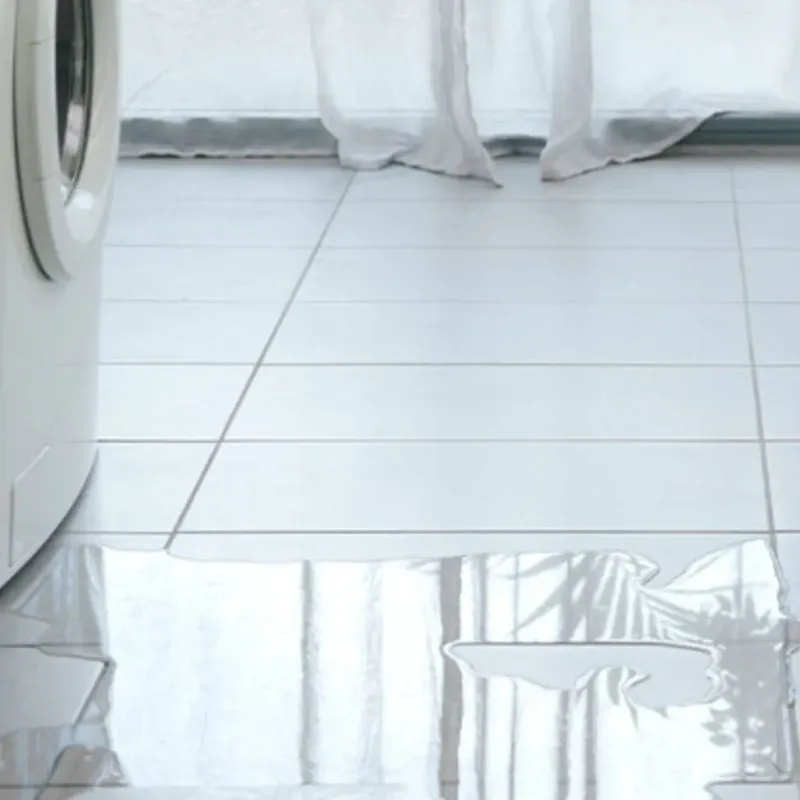 Appliance Leak Cleanup in Saint Elmo, IL