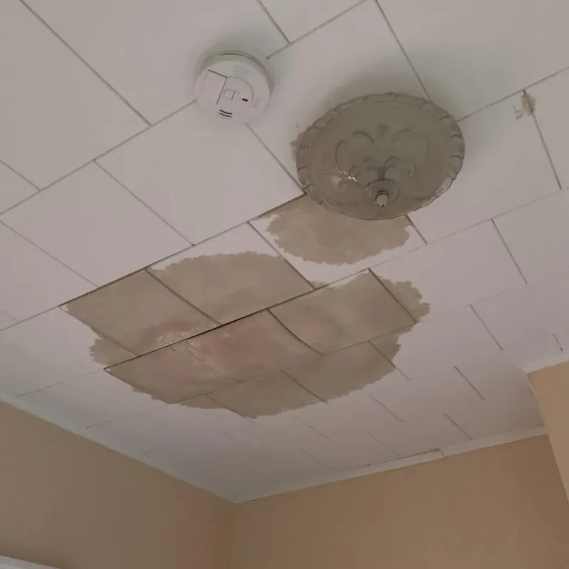 Ceiling Water Damage Repair in Saint Elmo, IL