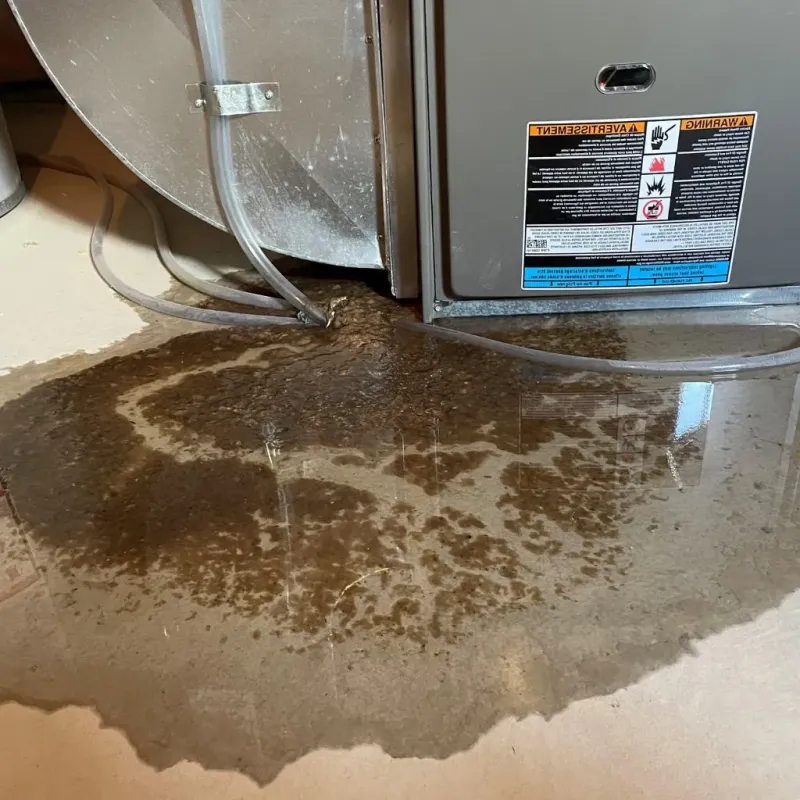 Pipe Burst and Leak Restoration in Saint Elmo, IL