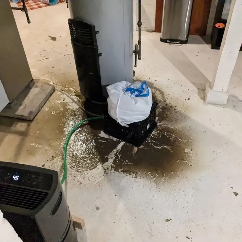 Sewage Backup Cleanup Service in Saint Elmo, IL